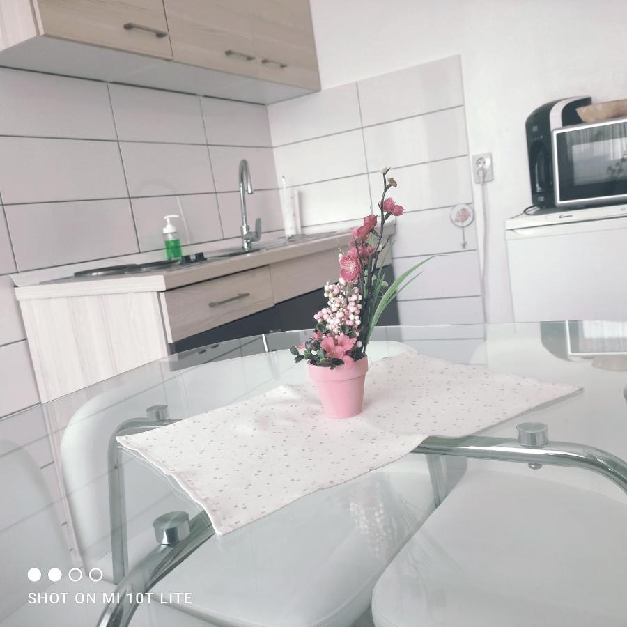 Studio Apartman Valentina Velika Mlaka Exterior foto